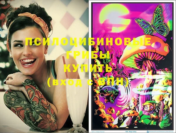 шишки Богданович